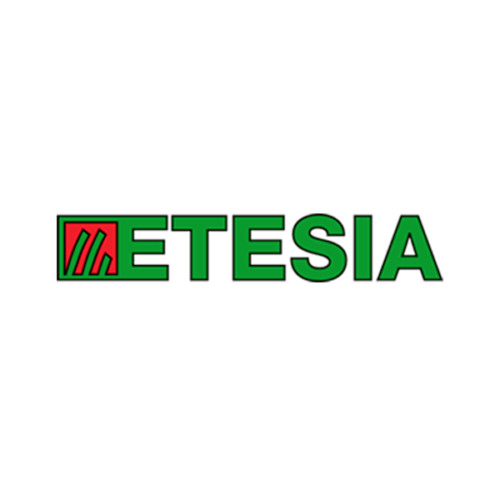 Genuine etesia 24825 - 24825, belt