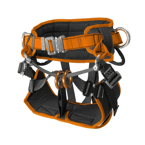 Treehog tree climbing seated - climbing,