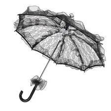 Exquisite Lace Parasol For