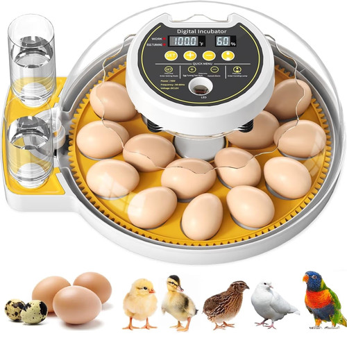 Egg incubator full automatic - ,