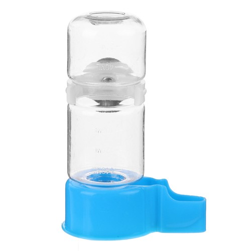 Pigeon water drinker - water, budgie