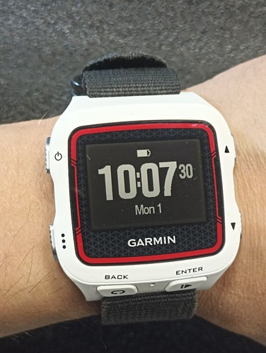Garmin forerunner 920xt - , watch