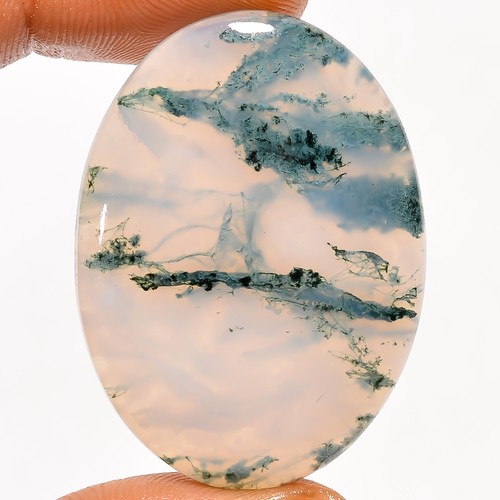 100 natural moss - moss, oval