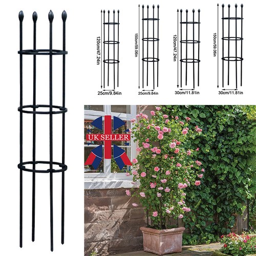 Garden obelisk rose flower - obelisk,