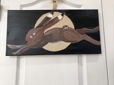 Desert Jack Rabbit Jumps Over