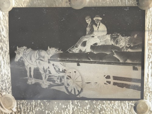 Antique glass slide - antique,