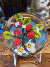 Caithness William Manson snr  Paperweight  Limited Edition 4of5 