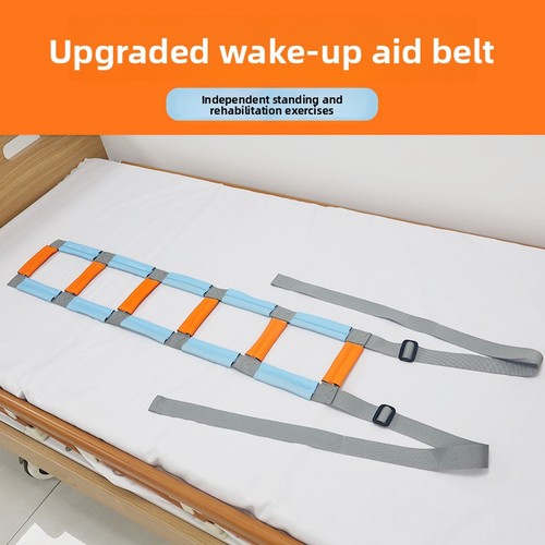 Bed ladder assist - 1,
