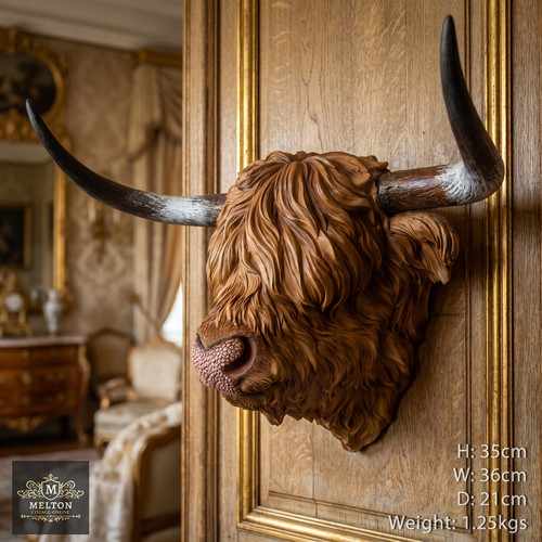 Lovely highland cow head wall - highland,