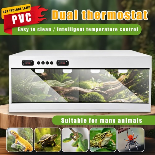 Reptile terrarium pvc snake - reptile,