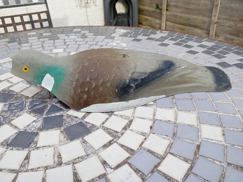 Vintage pigeon decoy - vintage,