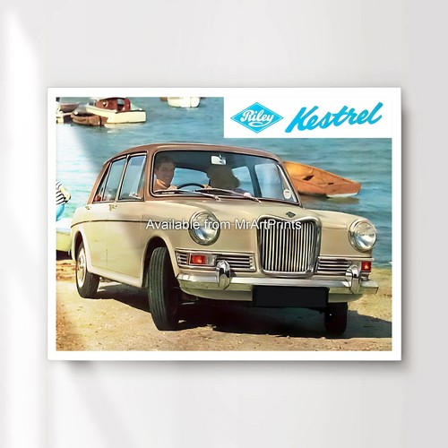 Riley kestrel car advertising - kestrel,