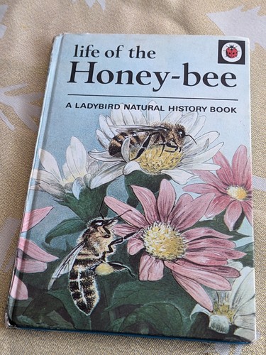 Ladybird natural history - ladybird,