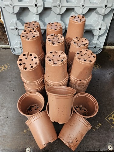 Box 200 terracotta 9cm - terracotta,