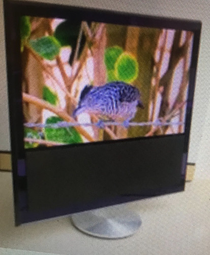 Bang olufsen beovision - bang,