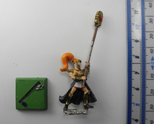 Maiden guard standard bearer - maiden,