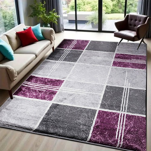 Modern large living - room, rugs