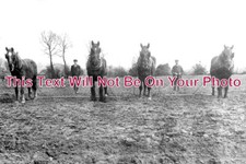 SF 3391 - Farm Workers &