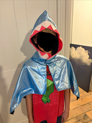 Kids shark hooded - shark,