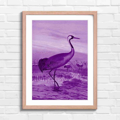 Elegant red crowned crane - red-crowned,