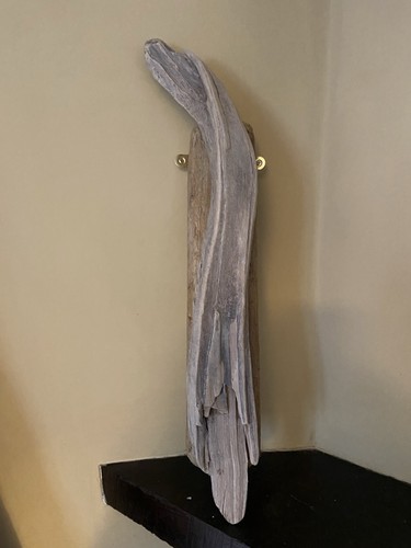 Driftwood wall sculpture - wall,