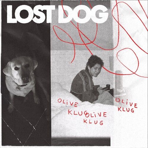 Olive klug lost dog - olive,