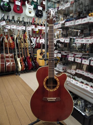 Takamine 508 acoustic - pt-508,