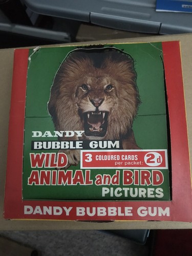 Dandy gum empty - dandy, box