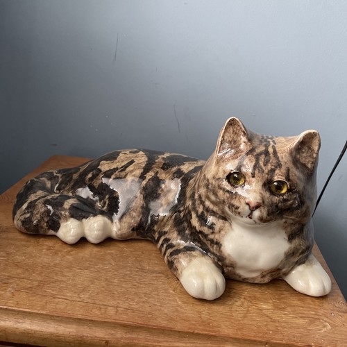 Winstanley tabby cat - winstanley,