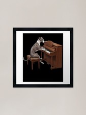 Italian Greyhound Playing