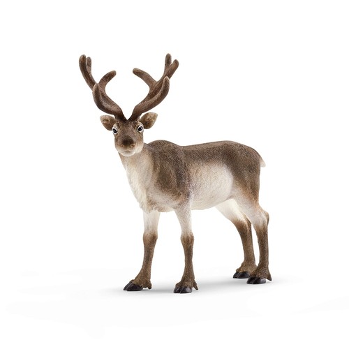 Schleich 14837 reindeer wild - schleich,