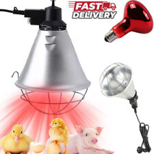 Infared Heat Lamp + 250w