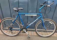 Shasta  Kilimanjaro Town and