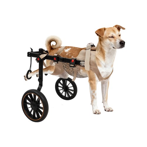 Large dog wheelchair rear - dog, leg