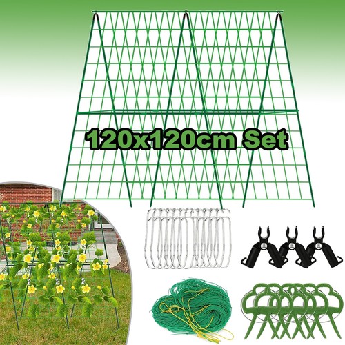 Cucumber trellis for garden - trellis,