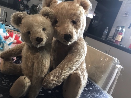 Two 1950s steiff - two,