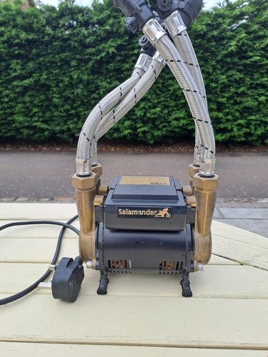 Salamander force 15pt - salamander,