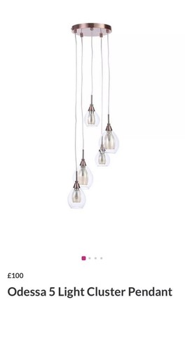 Odessa light cluster rose - 5,