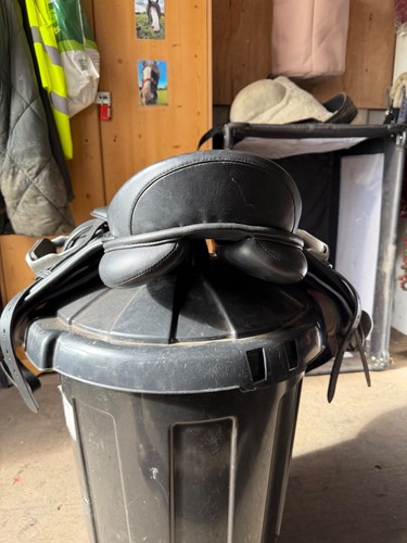 Easy trek treeless - easy,