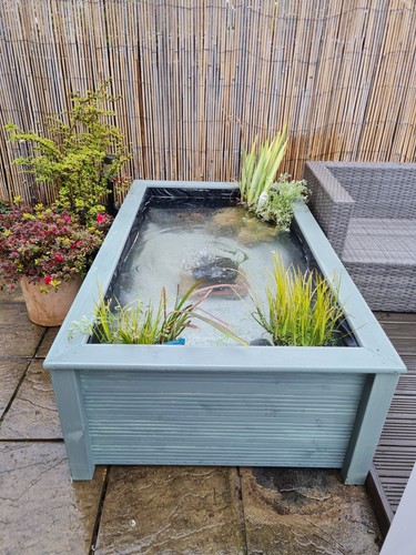 Raised garden pond seat - raised,