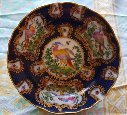 Samson porcelain blue scale