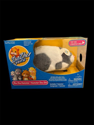 Zhu pets hamster - zhu,