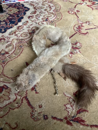 Vintage 1930 40s mink fur - vintage,