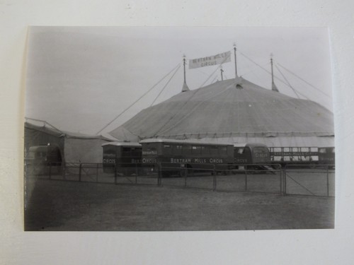 Bertram mills circus - bertram,