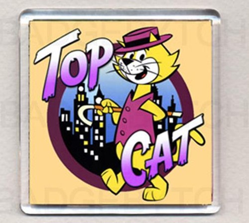 Top cat square - cat,
