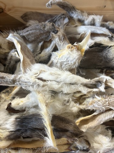 Air dried rabbit ears - air,