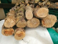 Boxwood Logs for Woodturning