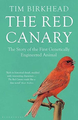 The red canary - the, story