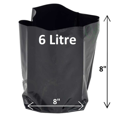 Litre poly plant - litre,