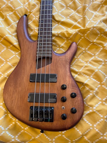 Cort open pore bass - b4,